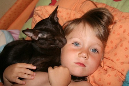 ребенок и кот
